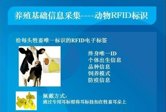 动物RFID标识示意图.jpg 动物RFID标识示意图.jpg